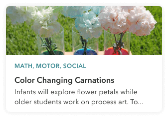 Color carnations Upwards activities program